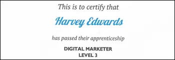 Digital Marketer Level 3